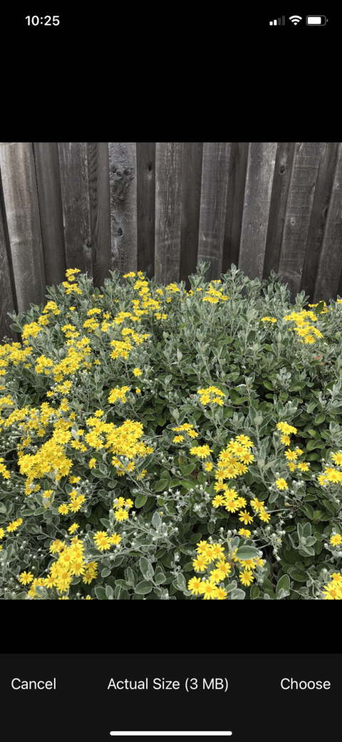 julia 🕊 @juliawilder cover picture