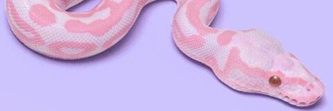 julz @julzhbu cover picture