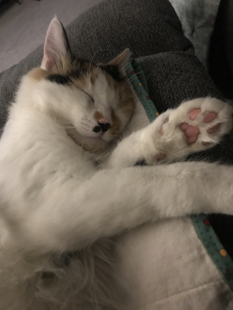 Justina @justinatime4u cover picture