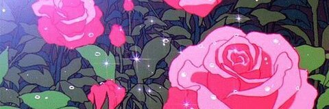 tiger cherries @k1m0k0 cover picture