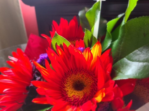 Kacey Black @kacyblacky cover picture