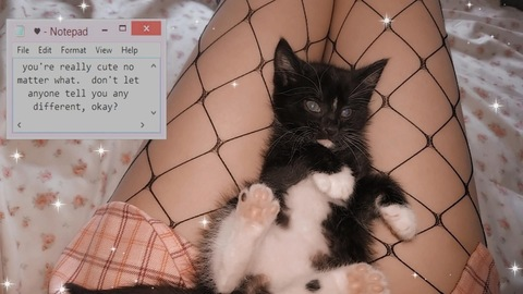 Kaidaxxx @kaidaxxx cover picture