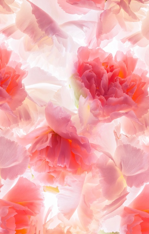 Karleysfeet @karleysfeet cover picture