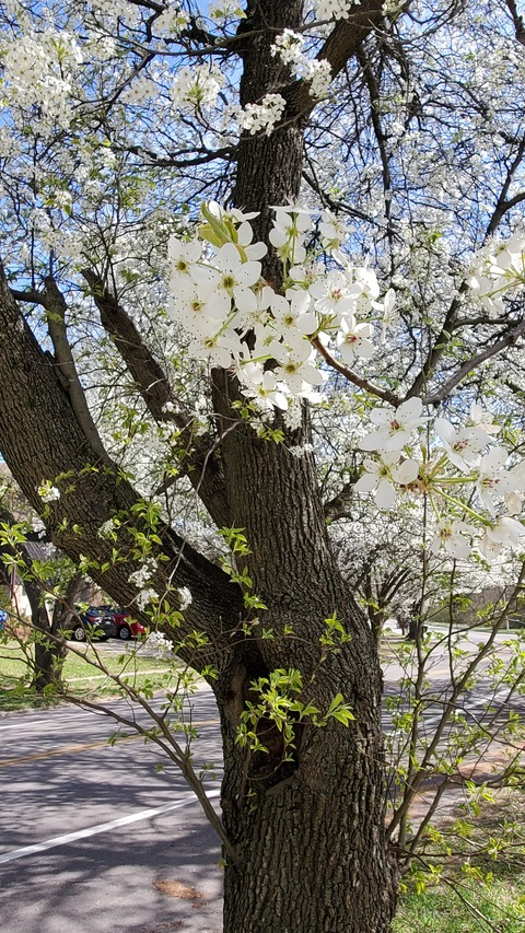 Kashaun Lajuan Argrett @kashaunargrett cover picture