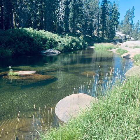 Katie @katiedid cover picture