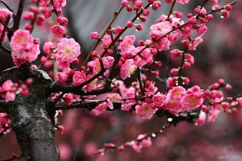 Danielle @kattia cover picture