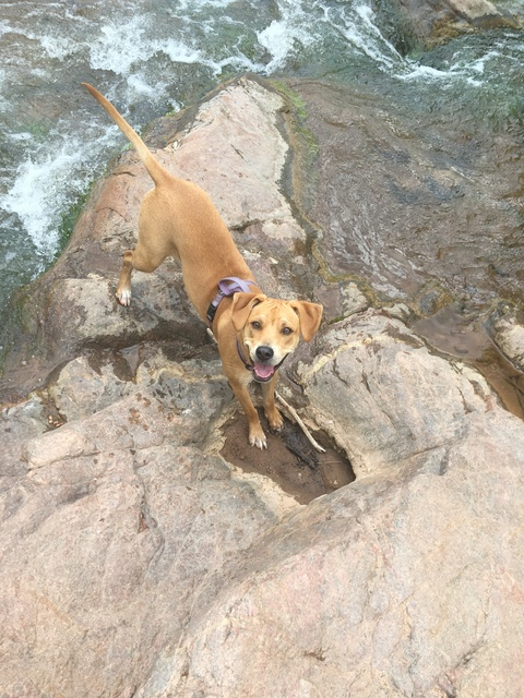 Kay @kaybug95 cover picture