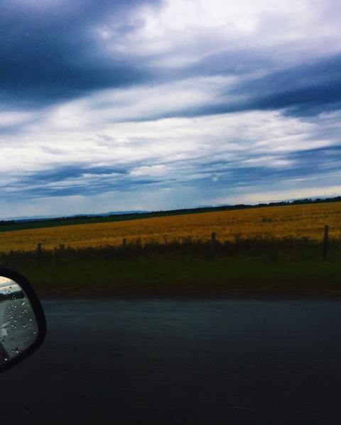 Kayla Freitas @kaylaggrace22 cover picture