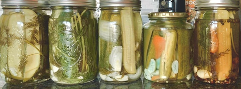 Kay Kay @kellisha cover picture