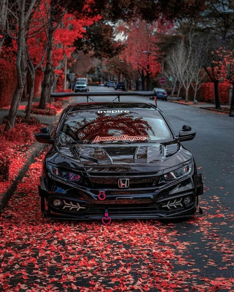 Kat @kiittsune6 cover picture