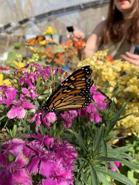 Kylie @killerkylie cover picture