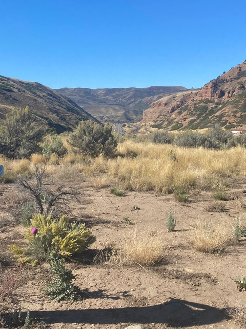 3GeminiKing3 @kinggem3 cover picture