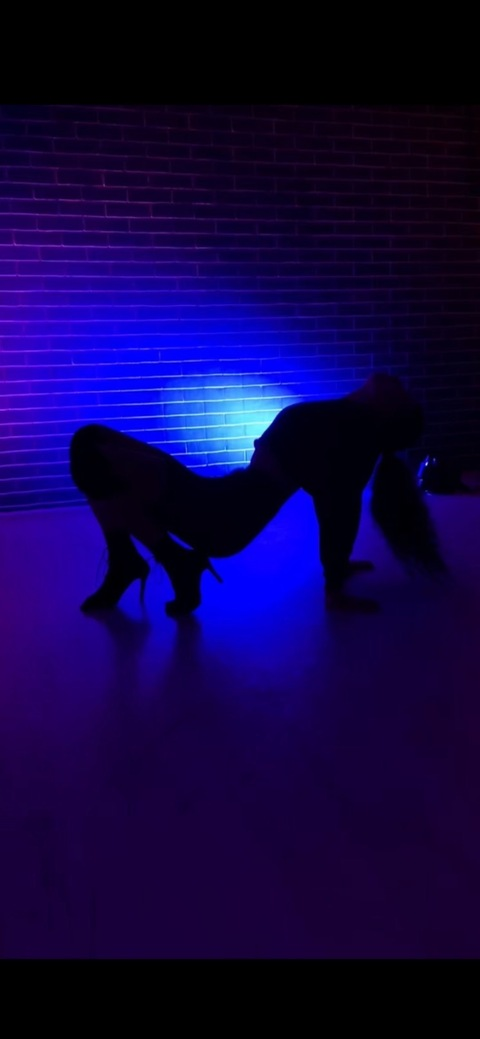 Kari Kis @kiskari cover picture