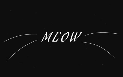 CheckMeowt @kittencream cover picture