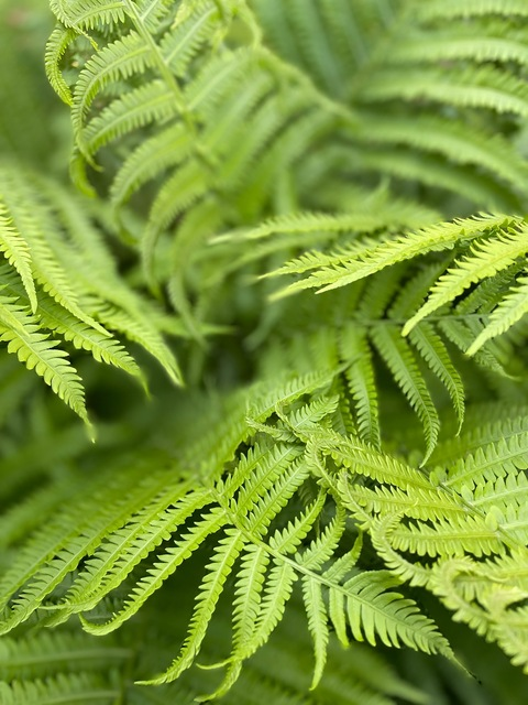 Kitty @kittycatqueen cover picture