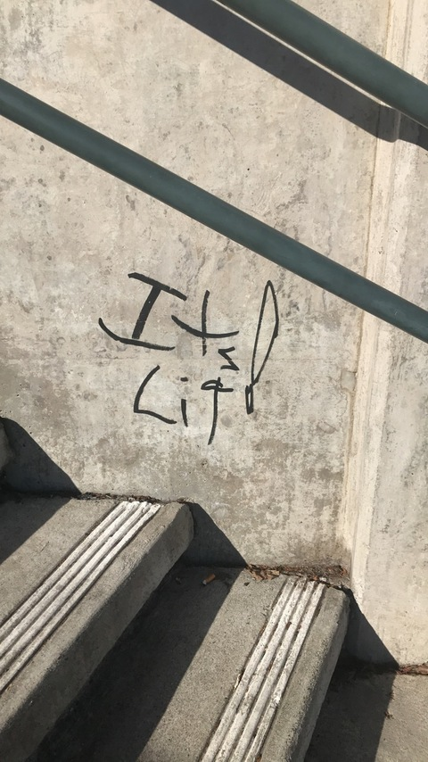 Nat @knotnat cover picture