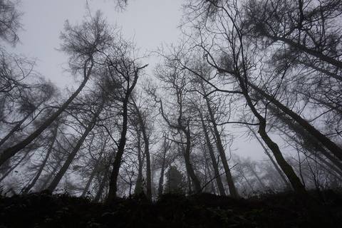 KrisLilli @krislilli cover picture