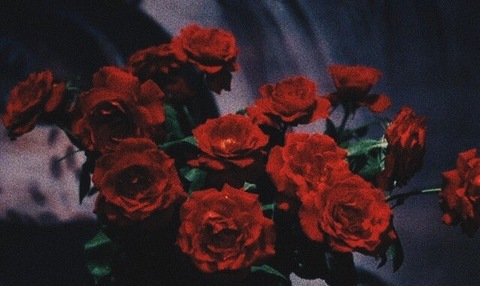 kryptickayla @kryptickayla cover picture