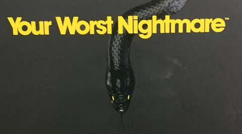 Kat @ksmel cover picture