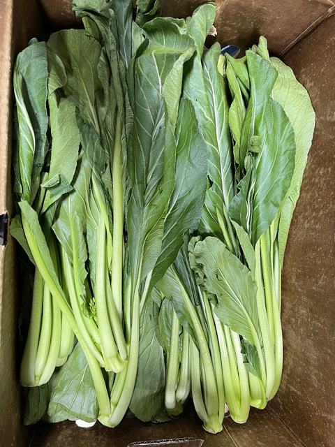 Kun @kundragon cover picture