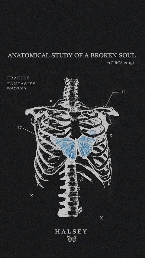 Kvailas Stilius @kvailas cover picture