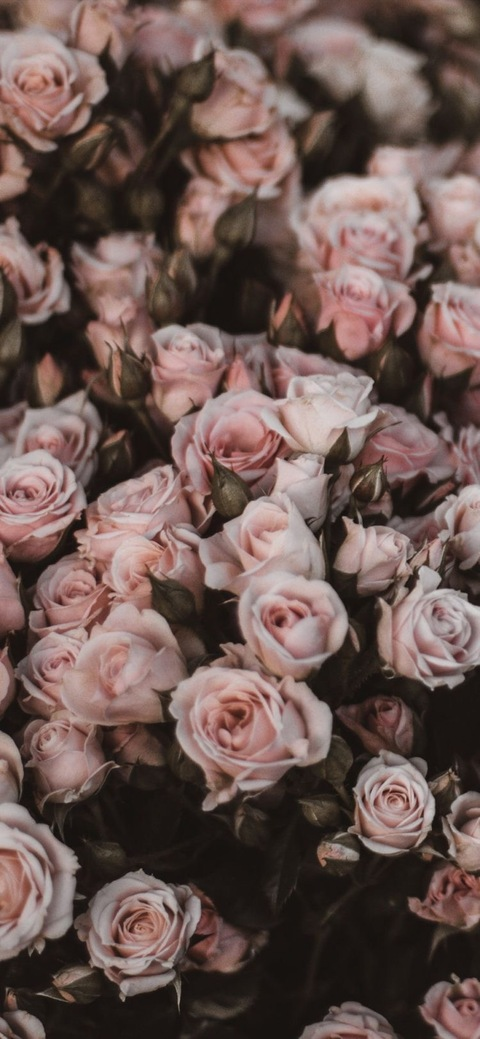 𝒜𝓁𝑒𝓍𝒶𝓃𝒹𝓇𝒶 🖤 @l0velylexxx cover picture