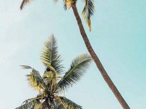 Elle. @l_love cover picture