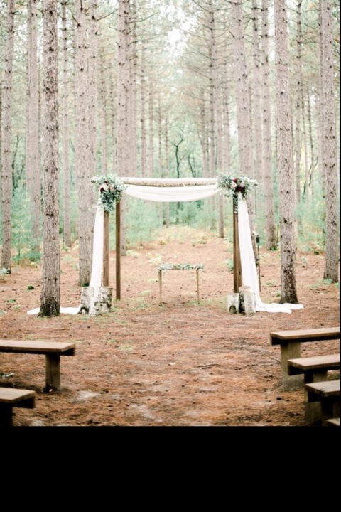 Lady Elise @ladyelise cover picture