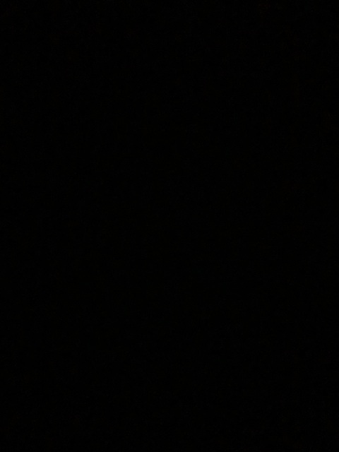 Lady Punk @ladypunk cover picture