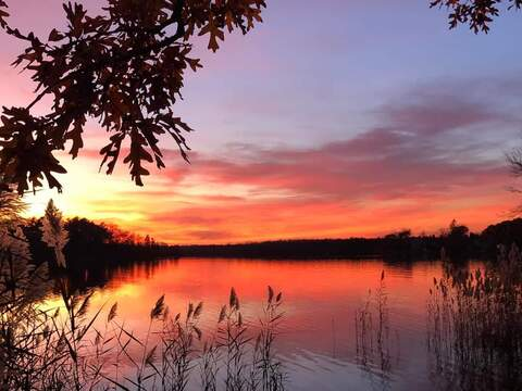 Lakelover @lakelover cover picture