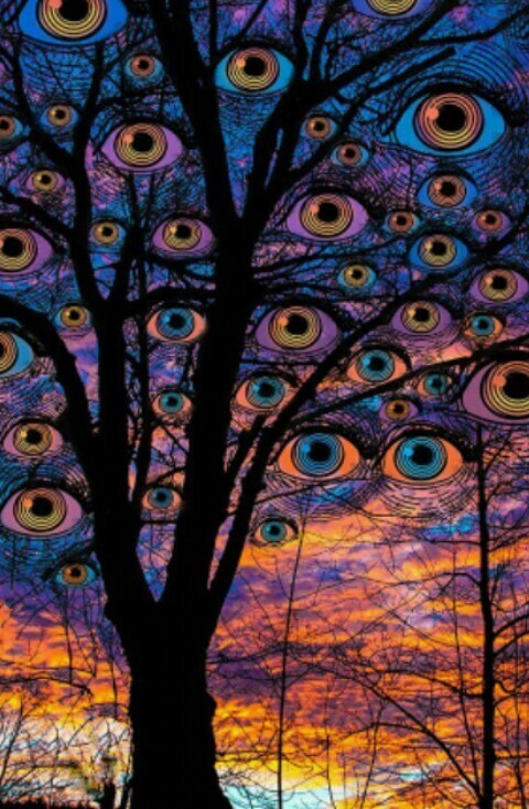 A N R E P E @langie cover picture