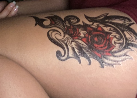 Lauren Lolly @laurenlolly cover picture