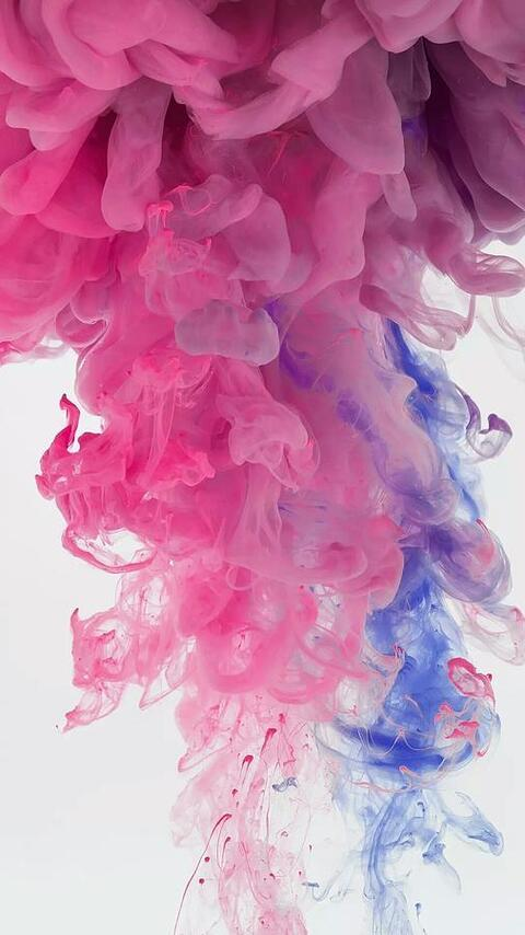 Laurenne @laurenne cover picture