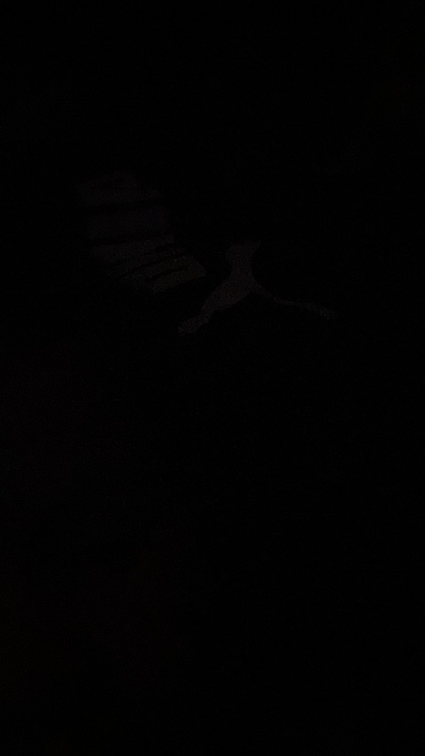 Leah @leahann cover picture