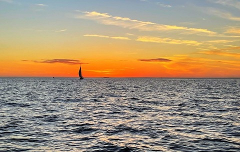 LeAloha731 @lealoha731 cover picture