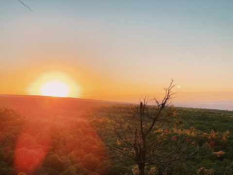 Lean Bean @leanbeann cover picture