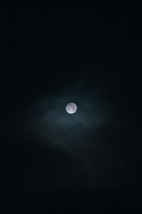 leehee @leehee cover picture