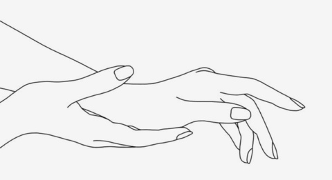 lanileilani @leilanilei cover picture