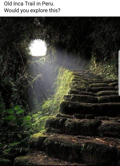 Lennox Jade @lennoxjade cover picture