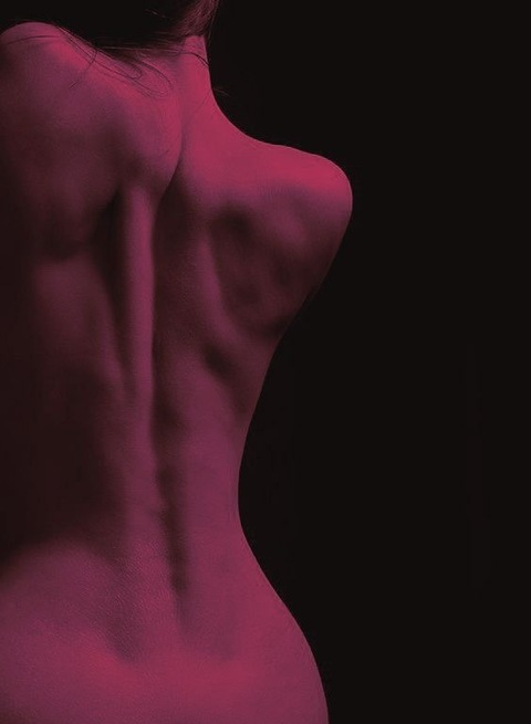 LexiN @lexin cover picture