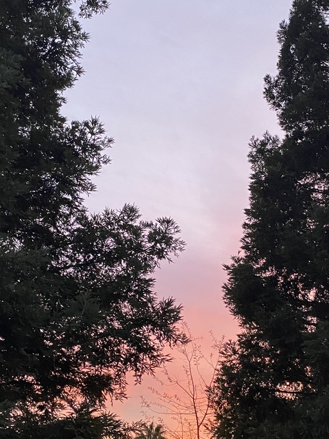 j @liars cover picture