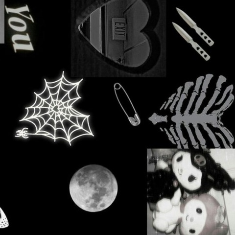 𝕭𝖊𝖓𝖏𝖆 𝖇𝖚𝖘𝖙𝖔𝖘 @lickb cover picture