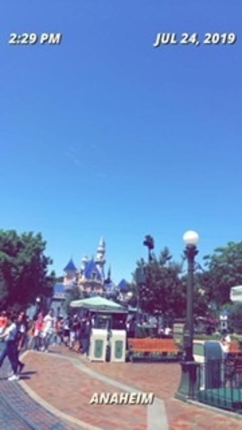 Lil Latina @lil-latina cover picture