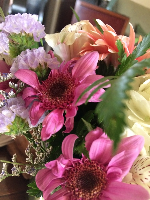 Shayla @lilackisses cover picture