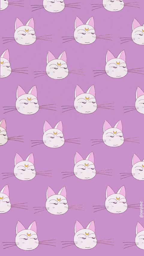 lilbeet @lilbeet210 cover picture