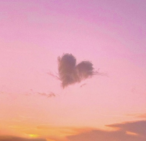 Lilipink18 @lilipink1 cover picture