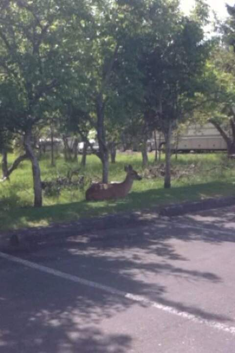 Lily Weaver @lilithkat cover picture