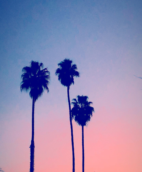 Lil J @liljfuckyobitch cover picture