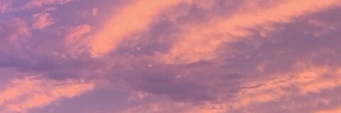 Lily👑 @lilyilyb cover picture