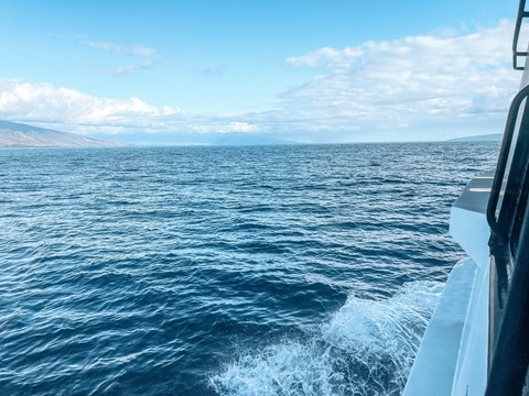 LinaBabyyy @linababy22 cover picture